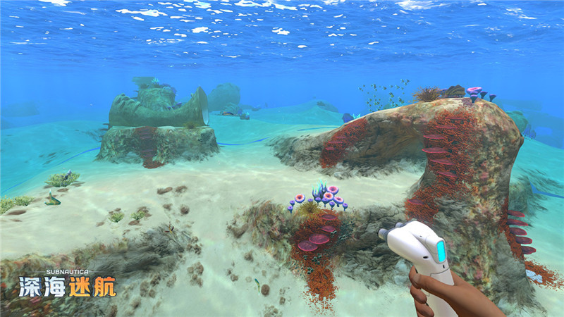 图片: 图2+美丽的安全区.jpg