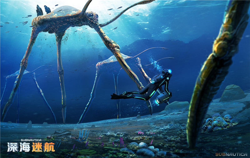 图片: 图5+比自己身体大几十倍的海底生物.jpg