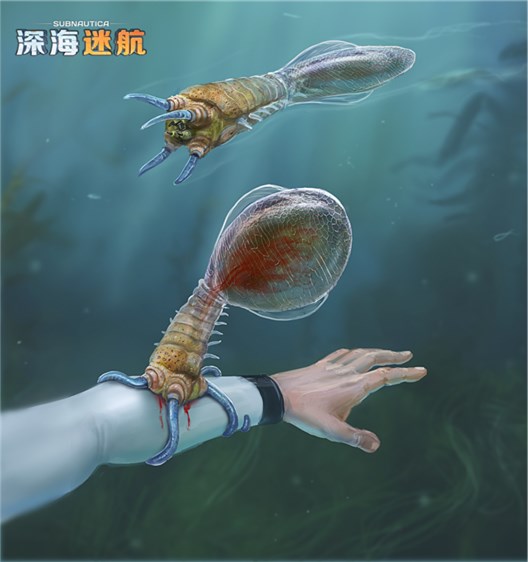 图片: 图8+充满杀伤力的小型海底生物.jpg