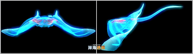 图片: 图2+幽灵鳐.jpg