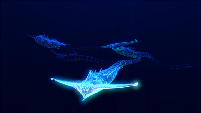 图片: 图3+电鳗.jpg