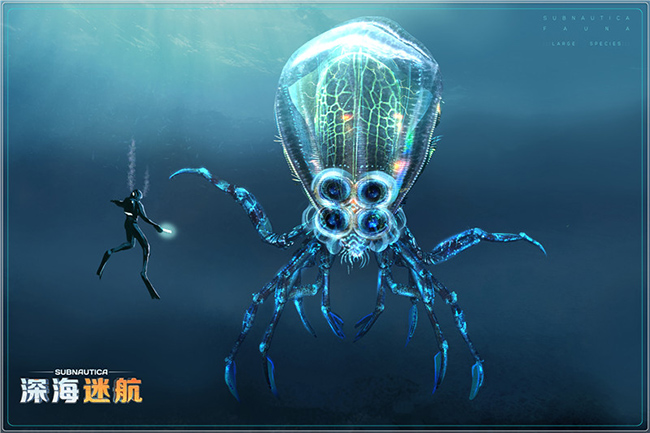 图片: 图4+蟹鱿.jpg