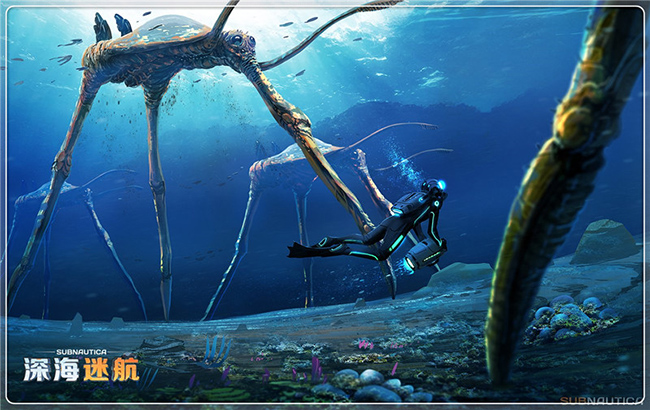 图片: 图5+踏浪者.jpg