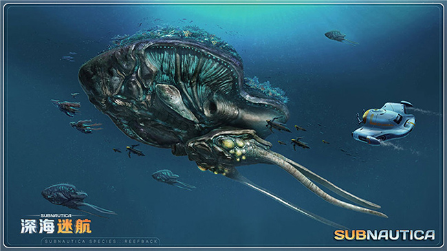 图片: 图8+礁背鱼.jpg